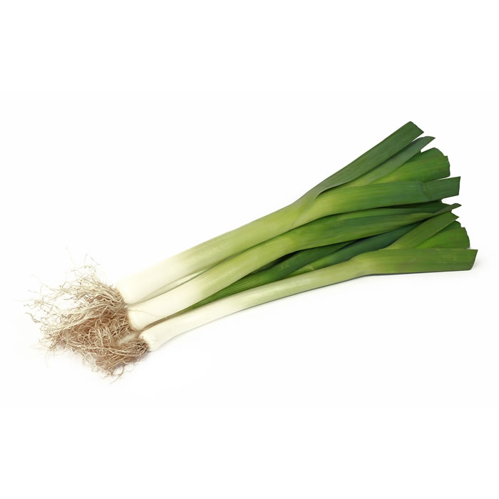 POIREAU – Poireau bio