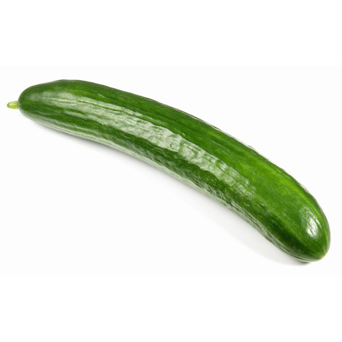 CONCOMBRE – Concombre bio 1 pièce