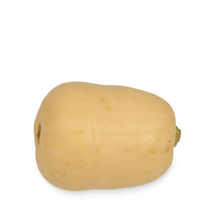 Butternut bio