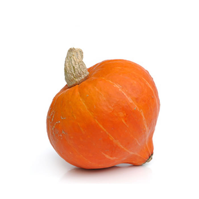 Potimarron bio
