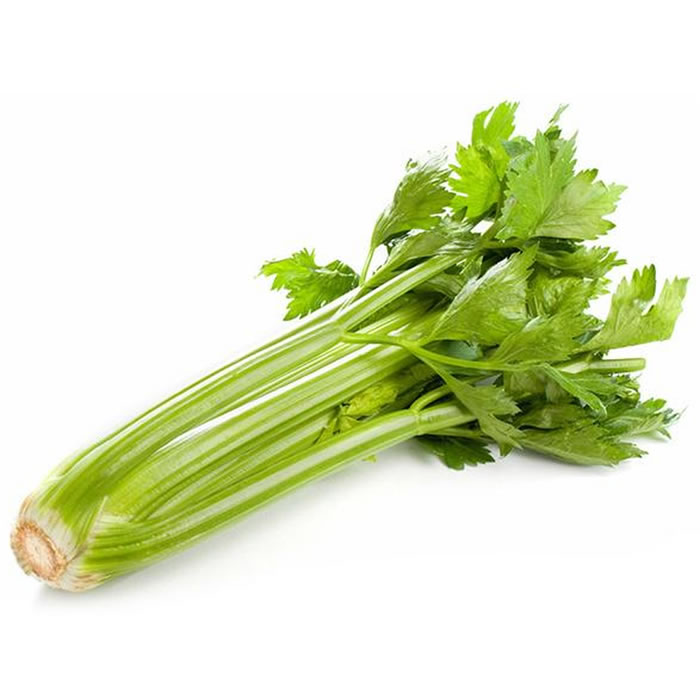 Céleri vert en branche